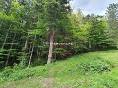 Teren intravilan de vanzare in Sinaia - Zona Furnica