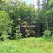 Teren intravilan de vanzare in Sinaia - Zona Furnica