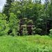 Teren intravilan de vanzare in Sinaia - Zona Furnica
