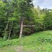 Teren intravilan de vanzare in Sinaia - Zona Furnica